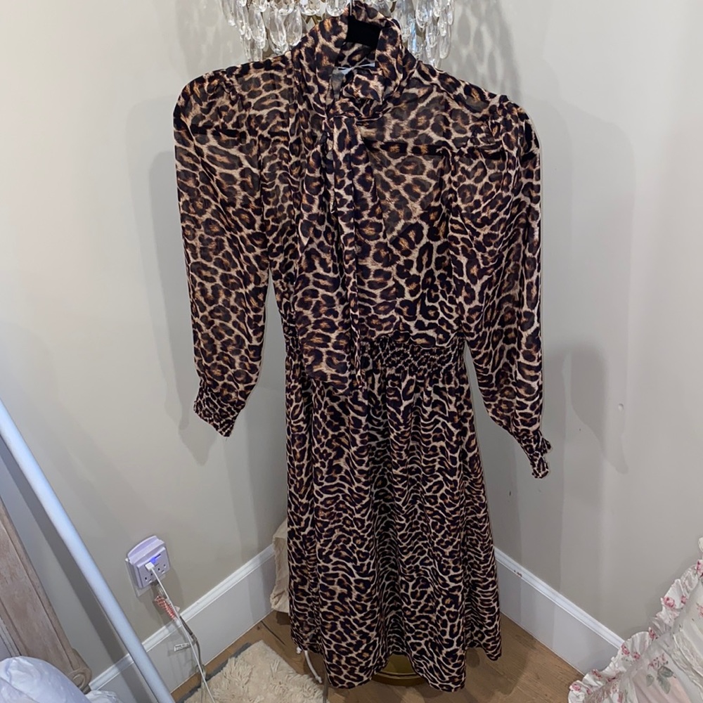 Zara long sleeve cheetah print maxi dress! XS
